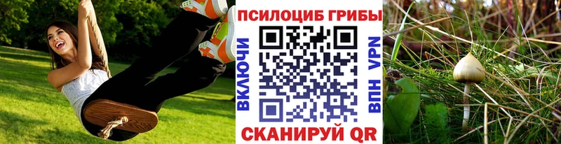Псилоцибиновые грибы Psilocybe  Ишим 
